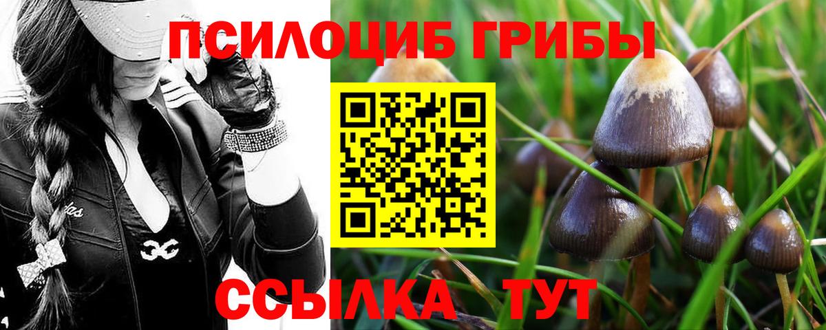 Галлюциногенные грибы ЛСД Люберцы