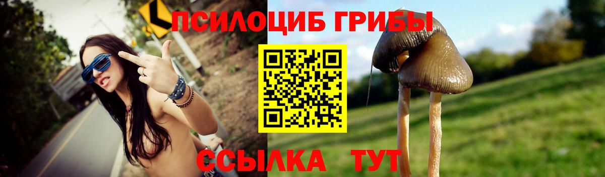 Галлюциногенные грибы прущие грибы  Вход с VPN  Люберцы 